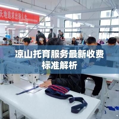 凉山托育服务最新收费标准解析