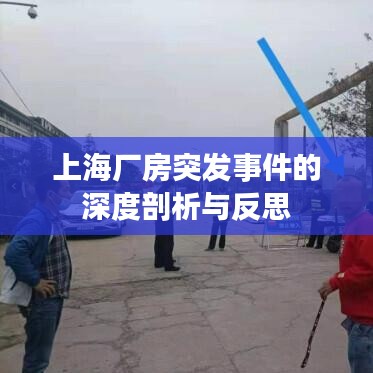 上海厂房突发事件的深度剖析与反思