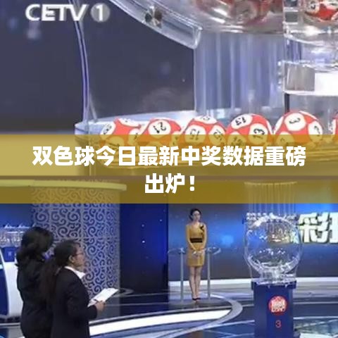双色球今日最新中奖数据重磅出炉！