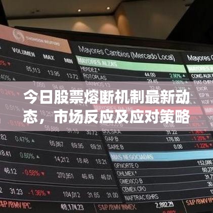 今日股票熔断机制最新动态，市场反应及应对策略揭秘