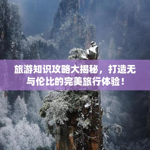 旅游知识攻略大揭秘，打造无与伦比的完美旅行体验！