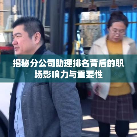 揭秘分公司助理排名背后的职场影响力与重要性