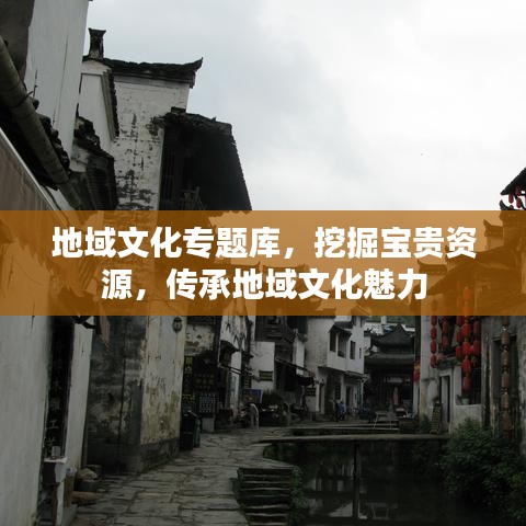 地域文化专题库，挖掘宝贵资源，传承地域文化魅力