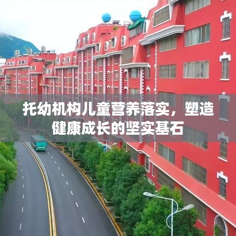 托幼机构儿童营养落实，塑造健康成长的坚实基石