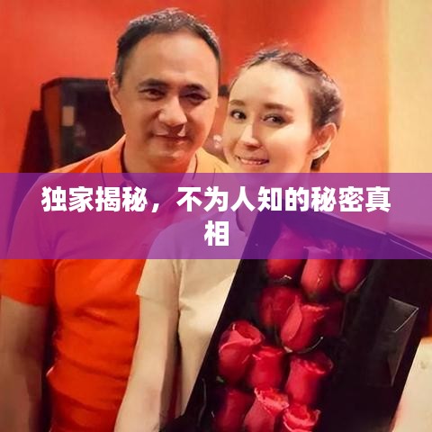 独家揭秘，不为人知的秘密真相