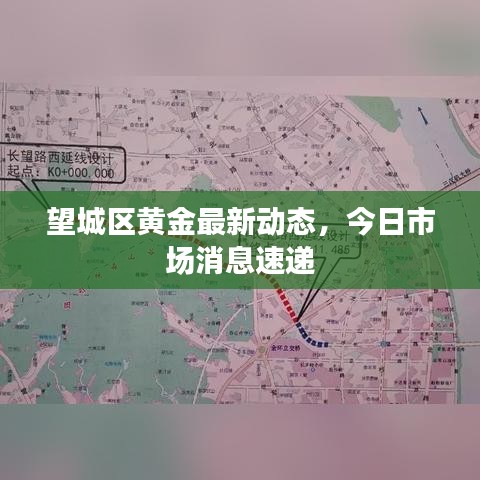 望城区黄金最新动态，今日市场消息速递