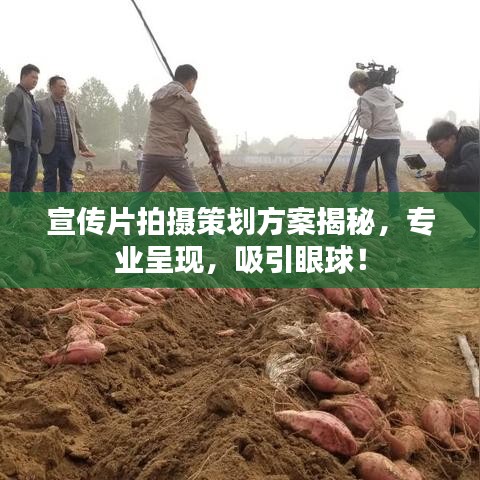 宣传片拍摄策划方案揭秘，专业呈现，吸引眼球！
