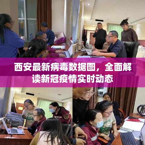 西安最新病毒数据图，全面解读新冠疫情实时动态