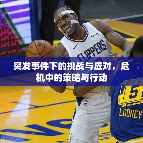 突发事件下的挑战与应对，危机中的策略与行动