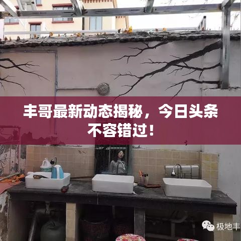 丰哥最新动态揭秘，今日头条不容错过！