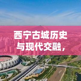 西宁古城历史与现代交融，头条新闻直播盛况