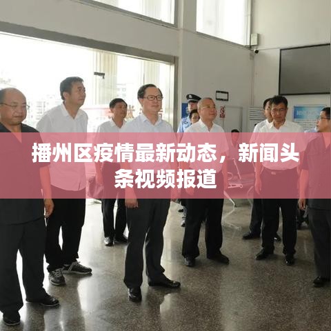播州区疫情最新动态，新闻头条视频报道