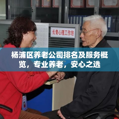 杨浦区养老公司排名及服务概览，专业养老，安心之选