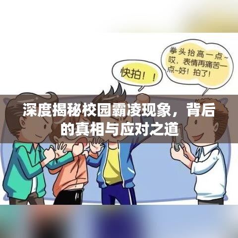 深度揭秘校园霸凌现象，背后的真相与应对之道