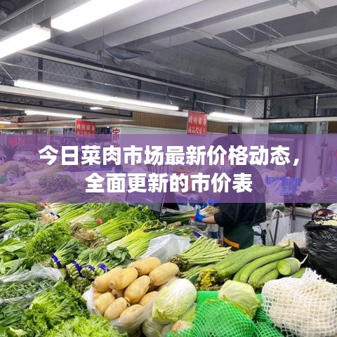 今日菜肉市场最新价格动态，全面更新的市价表