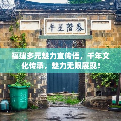 福建多元魅力宣传语，千年文化传承，魅力无限展现！