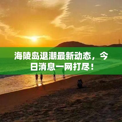 海陵岛退潮最新动态，今日消息一网打尽！