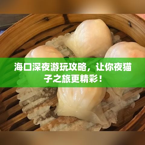海口深夜游玩攻略，让你夜猫子之旅更精彩！