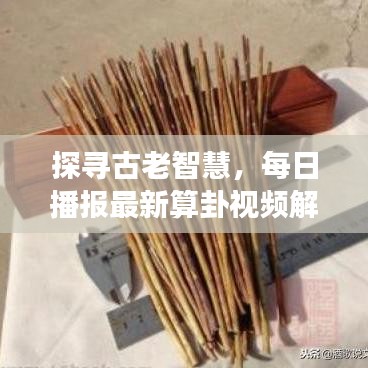 探寻古老智慧，每日播报最新算卦视频解读现代生活