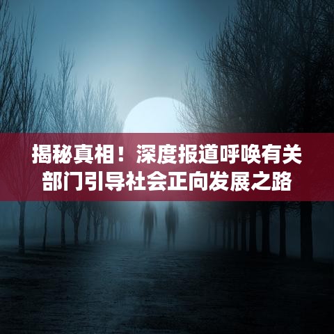 揭秘真相！深度报道呼唤有关部门引导社会正向发展之路