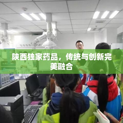 陕西独家药品，传统与创新完美融合