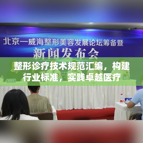 整形诊疗技术规范汇编，构建行业标准，实践卓越医疗