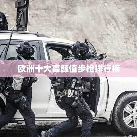 欧洲十大高颜值步枪排行榜
