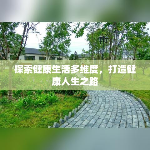 探索健康生活多维度，打造健康人生之路