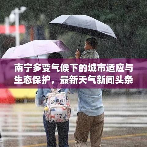 南宁多变气候下的城市适应与生态保护，最新天气新闻头条解析
