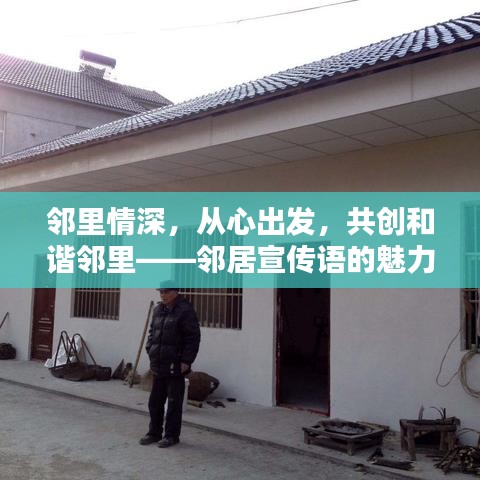 邻里情深，从心出发，共创和谐邻里——邻居宣传语的魅力