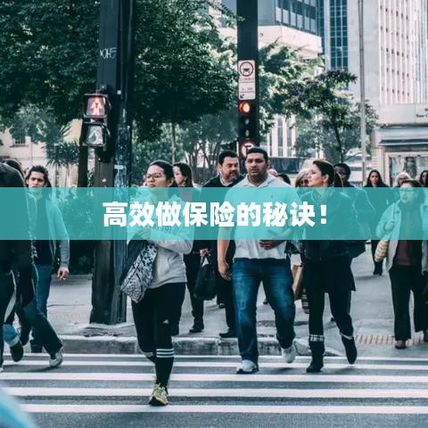 高效做保险的秘诀！