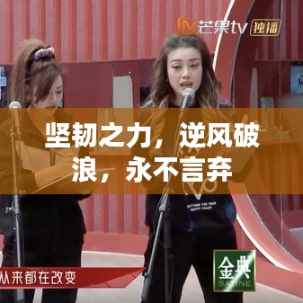 坚韧之力，逆风破浪，永不言弃
