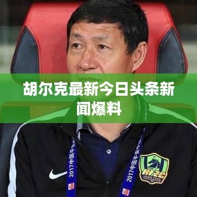 胡尔克最新今日头条新闻爆料