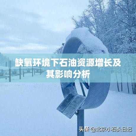 缺氧环境下石油资源增长及其影响分析