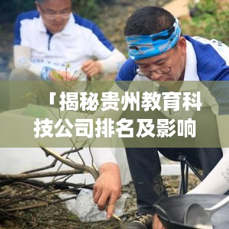 「揭秘贵州教育科技公司排名及影响力，行业洞察与深度解析」