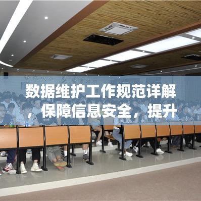 数据维护工作规范详解，保障信息安全，提升操作效率