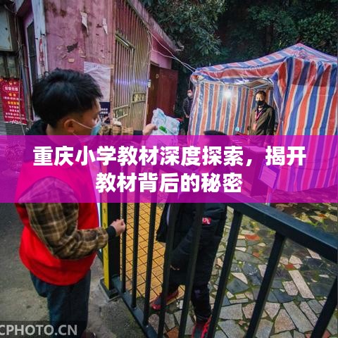 重庆小学教材深度探索，揭开教材背后的秘密