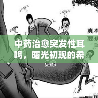 中药治愈突发性耳鸣，曙光初现的希望之路