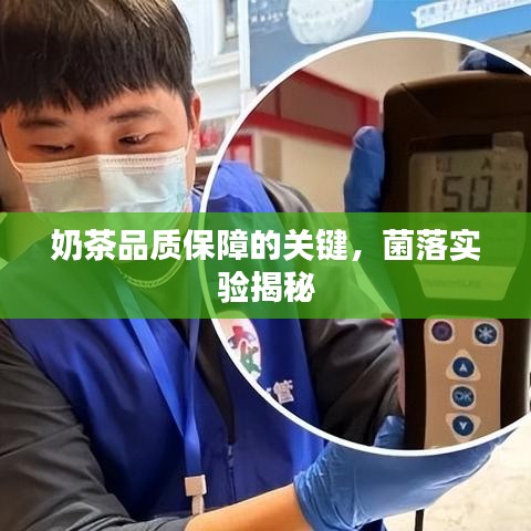 奶茶品质保障的关键，菌落实验揭秘