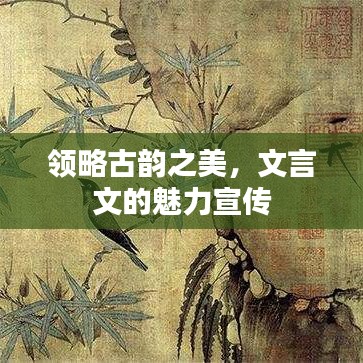 领略古韵之美，文言文的魅力宣传