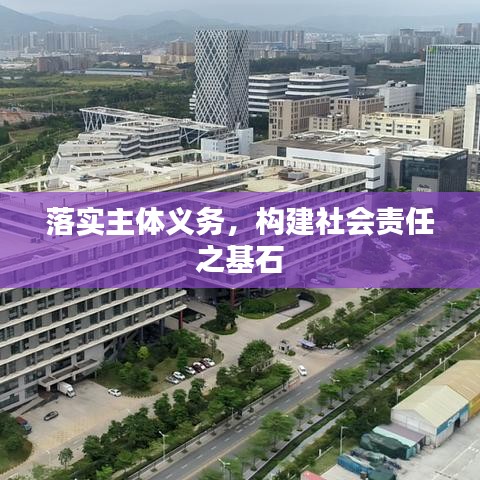 落实主体义务，构建社会责任之基石