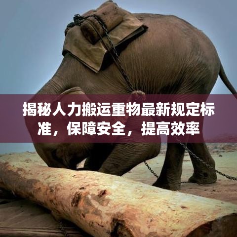 揭秘人力搬运重物最新规定标准，保障安全，提高效率