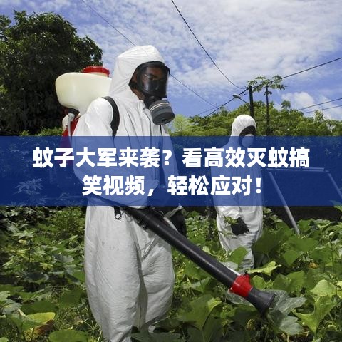 蚊子大军来袭？看高效灭蚊搞笑视频，轻松应对！