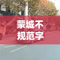 蒙城不规范字的来源与解析