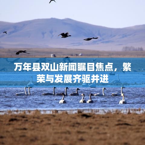 万年县双山新闻瞩目焦点，繁荣与发展齐驱并进