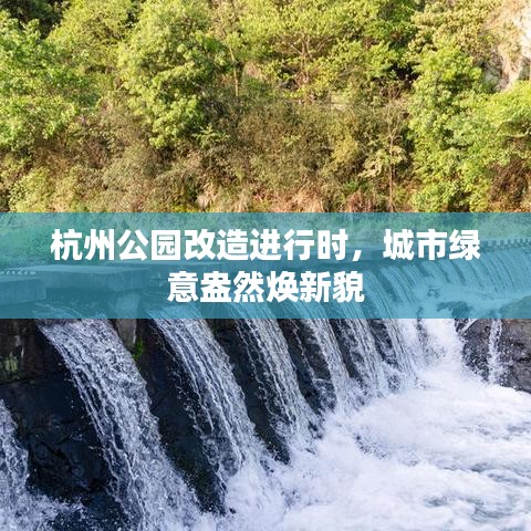 杭州公园改造进行时，城市绿意盎然焕新貌