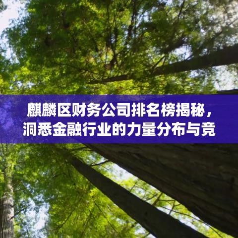 麒麟区财务公司排名榜揭秘，洞悉金融行业的力量分布与竞争格局