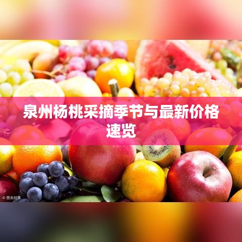 泉州杨桃采摘季节与最新价格速览