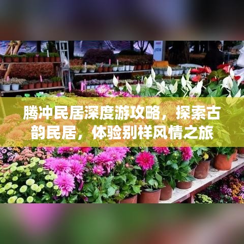 腾冲民居深度游攻略，探索古韵民居，体验别样风情之旅