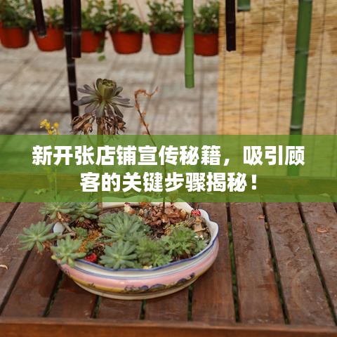 新开张店铺宣传秘籍，吸引顾客的关键步骤揭秘！